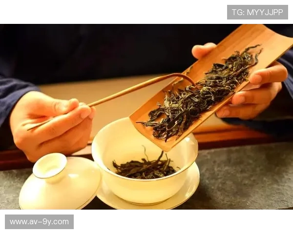 围绕球裤搭配与正确穿着足球袜方法的实用技巧与注意事项全面指南